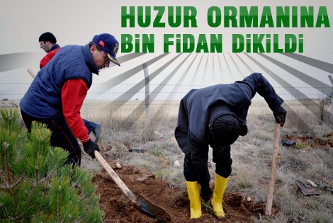 Emniyet müdürlüğü huzur ormanıʹna bin fidan dikildi