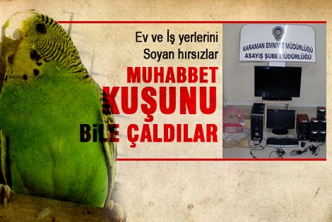 Karamanʹda ki Hırsızlar Muhabbet kuşunu bile çalmışlar