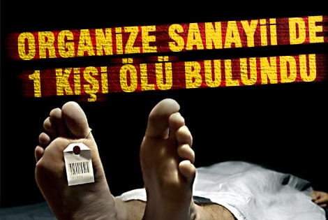 Karaman Organizesinde 1 kişi ölü bulundu