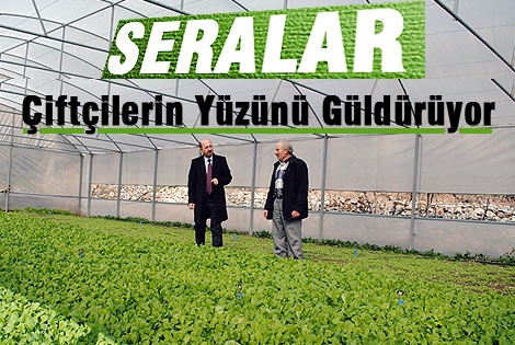 Seralar Karamanʹlı çiftçilerin yüzünü güldürüyor