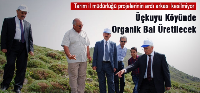 Üçkuyu Köyünde Organik Bal Üretilecek