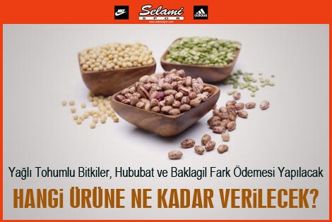 2012 Yılı Yağlı Tohumlu Bitkiler, Hububat ve Baklagil Fark Ödemesi Yapılacak