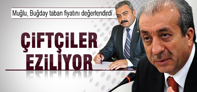 Recep Muğlu, çiftçilerin yüksek girdi maliyetleri altında ezildiğini bildirdi.