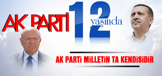 Ak Parti Milletin Ta Kendisidir