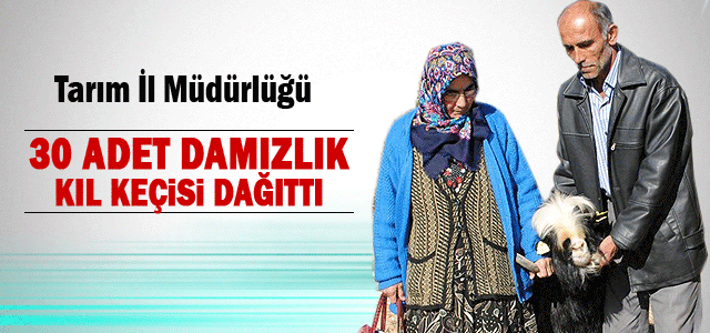 Karaman’da 30 Adet Damızlık Kıl Keçisi Dağıtıldı