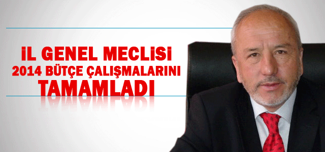 İl Genel Meclisi 2014 Yılı Bütçe Çalışmaları Tamamlandı