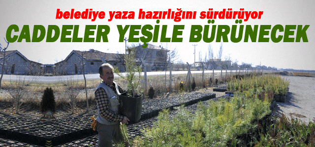 Caddeler Yeşile Bürünüyor