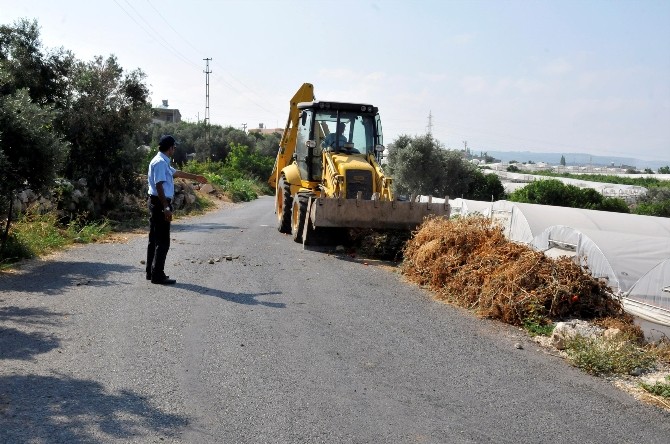 Erdemli Belediyesi’nden Sera Temizliği