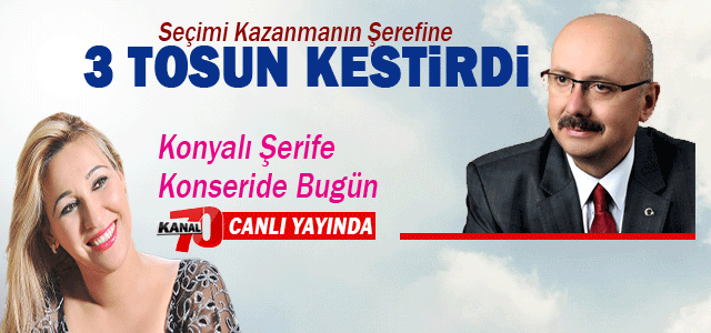 Hayri Samur, 3 tosun kestirdi