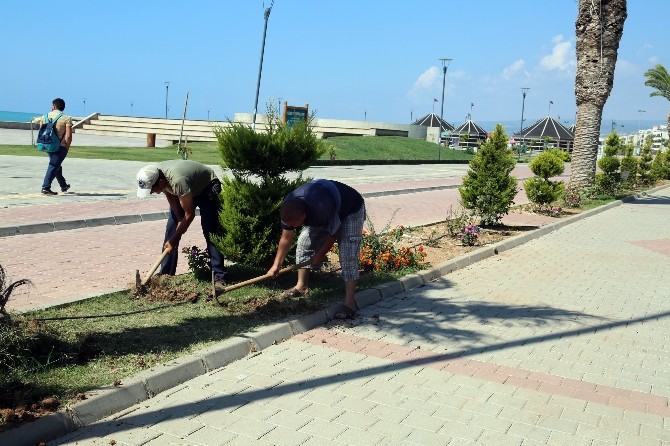 Erdemli’de Park Bahçe Düzenlemesi