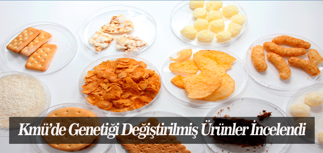 Kmü’de Genetiği Değiştirilmiş Ürünler İncelendi