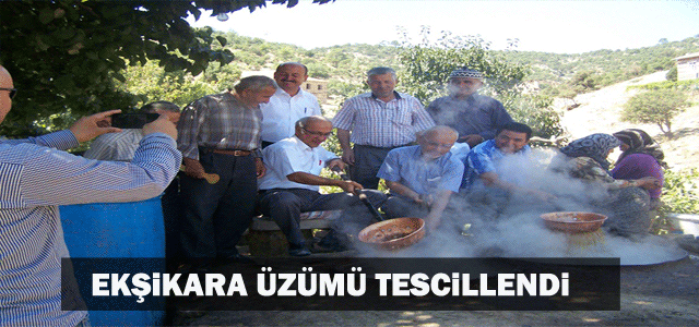 Ekşikara Üzümü Tescillendi