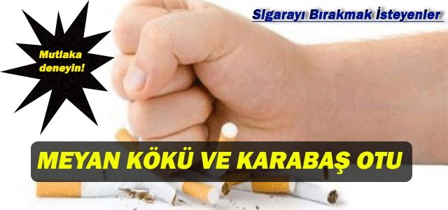 Sigarayı bırakmak için meyan kökü ve karabaş otu