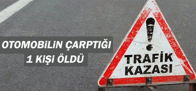 Trafik Kazası: 1 ölü