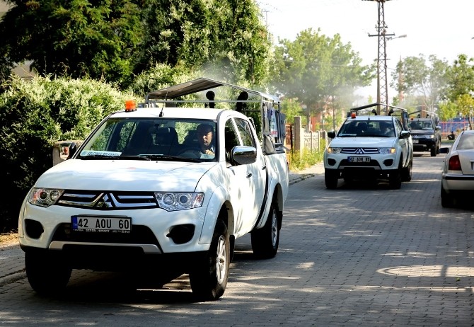 Selçuklu’da Haşereyle Mücadele Sürüyor