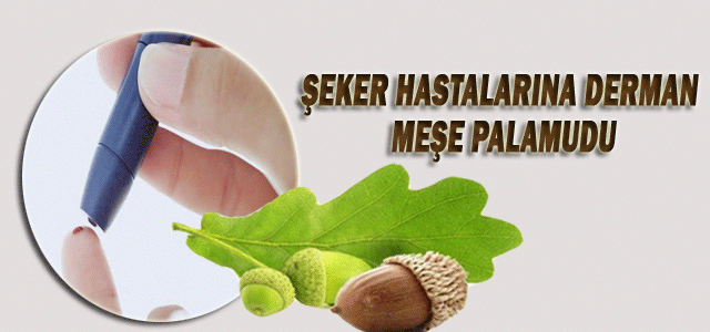 Şeker hastalarının dermanı meşe palamudu