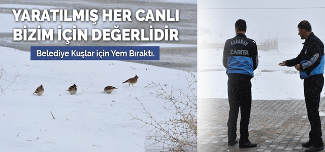 Belediye Kuşlar İçin Yem Bıraktı