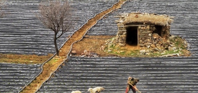 Fotoğraf Sanatçısı Konyalı’dan Bir Başarı Daha