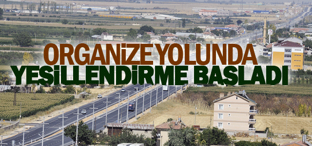 Organize Yolu Yeşilleniyor