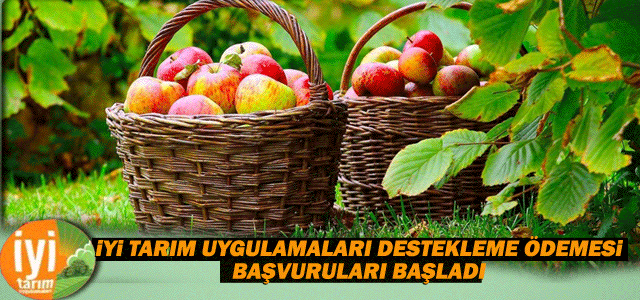 İyi Tarım Uygulamaları Destekleme Ödemesi Başvuruları Başladı