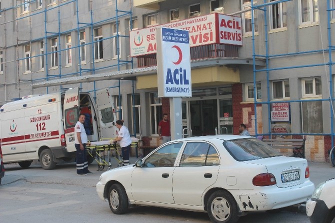 Dut Toplarken Ağaçtan Düşerek Öldü