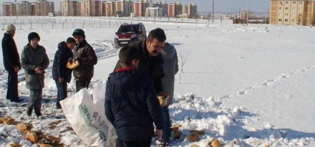 Ereğli’de “Yaban Hayvanlarını Doyuralım” Kampanyası