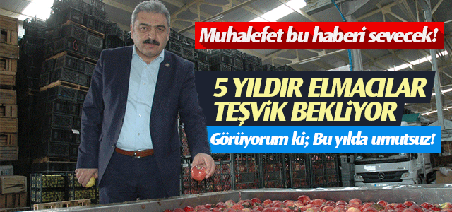 Muğlu; Elmacılar 5 yıldır teşvik bekliyor