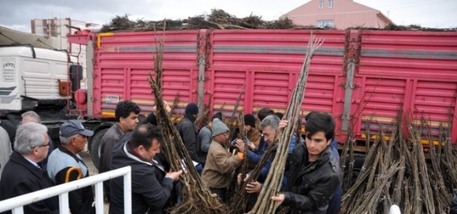 Karaman’da Çiftçilere Meyve Fidanı Dağıtıldı