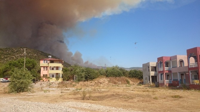 Mersin’de Orman Yangını