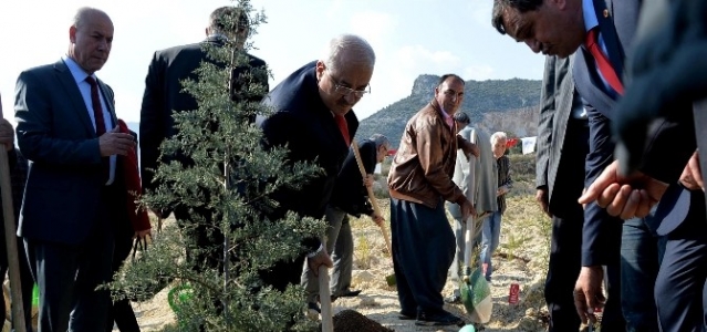 ‘Mersinli Çanakkale Şehitleri’ İçin Hatıra Ormanı Oluşturuldu