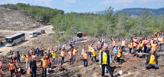 Gönüllüler, Ormancılar El Ele Fidan Dikti