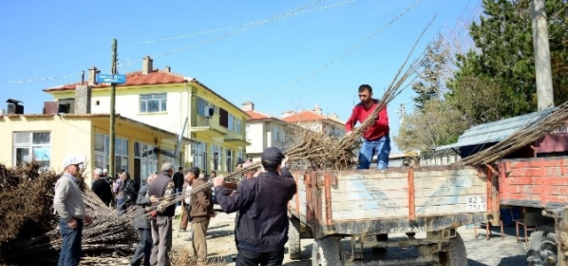 Büyükşehir Belediyesi’nden Tüm İlçelere Tarımsal Destek