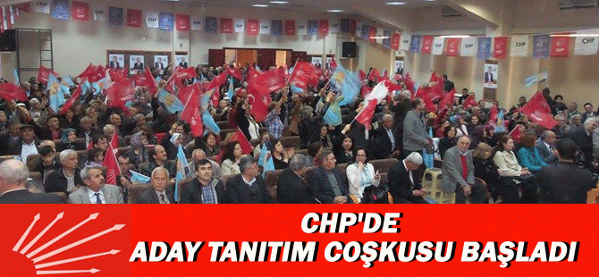 Chp'de Aday Tanıtım Coşkusu Başladı