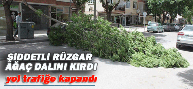 Rüzgar Nedeniyle Kırılan Ağaç Dalı Yolu Kapattı