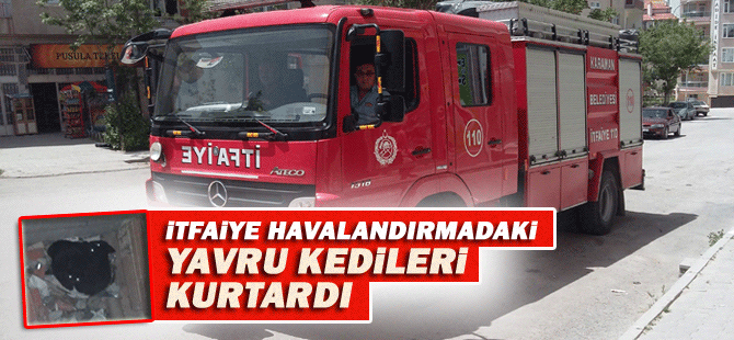 İtfaiye, 2 Yavru Kedi İçin Seferber Oldu