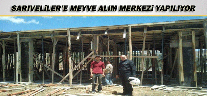 Sarıveliler’e Meyve Alım Merkezi Yapılıyor