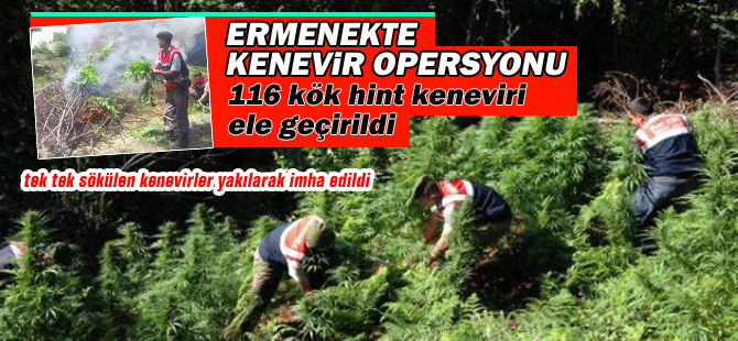 Karaman’da Kenevir Operasyonu