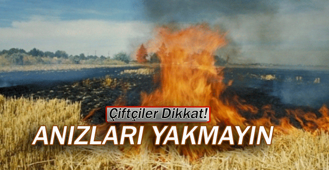 Anızları Yakmayın