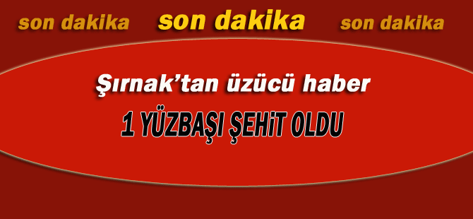 Şırnak'ta yüzbaşı şehit oldu