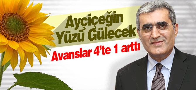 Konya Şekerden Ayçiçeğe yüzü güldürecek fiyat