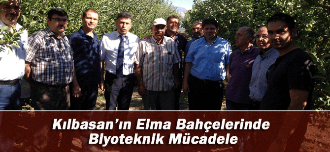 Kılbasan Köyünde Elma Bahçelerinde Biyoteknik Mücadele