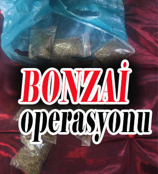 Tarsus'ta bonzai operasyonu