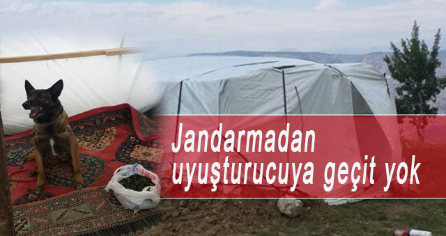 Jandarmadan uyuşturucuya geçit yok