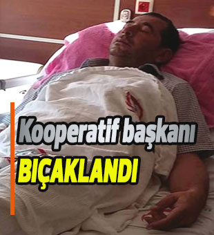 Kooperatif başkanı bıçaklandı