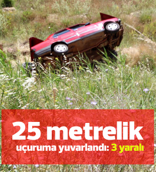 Kamelyaya çarpan otomobil 25 metrelik uçuruma yuvarlandı: 3 yaralı