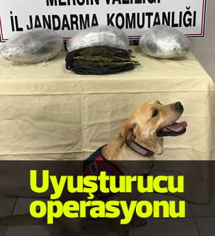 Mersinde Uyuşturucu Operasyonu