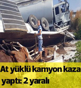 At Yüklü Kamyon Kaza Yaptı: 2 Yaralı