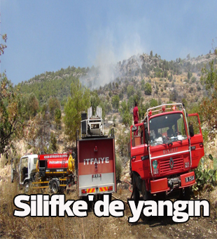Silifkede Yangın