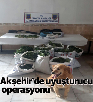 Akşehirde Uyuşturucu Operasyonu
