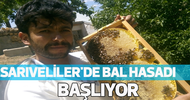 Bal Hasadı Başlıyor